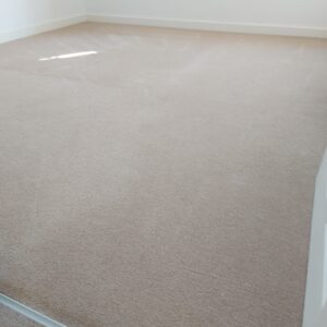 carpet cleaning dartford