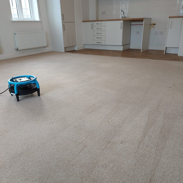 Carpet & Upholstery Cleaning Dartford 1 Carpet & Upholstery Experts