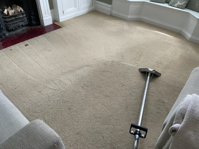 How long does the carpet need to dry